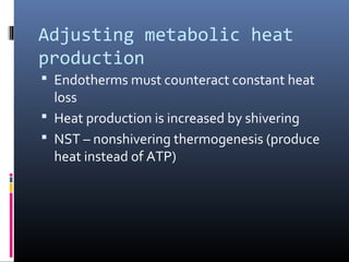 Adjusting metabolic heat
production
 Endotherms must counteract constant heat
loss
 Heat production is increased by shivering
 NST – nonshivering thermogenesis (produce
heat instead of ATP)
 