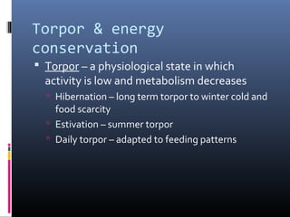 Torpor & energy
conservation
 Torpor – a physiological state in which
activity is low and metabolism decreases
 Hibernation – long term torpor to winter cold and
food scarcity
 Estivation – summer torpor
 Daily torpor – adapted to feeding patterns
 