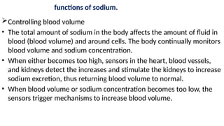 functions of sodium.
Controlling blood volume
• The total amount of sodium in the body affects the amount of fluid in
blood (blood volume) and around cells. The body continually monitors
blood volume and sodium concentration.
• When either becomes too high, sensors in the heart, blood vessels,
and kidneys detect the increases and stimulate the kidneys to increase
sodium excretion, thus returning blood volume to normal.
• When blood volume or sodium concentration becomes too low, the
sensors trigger mechanisms to increase blood volume.
 