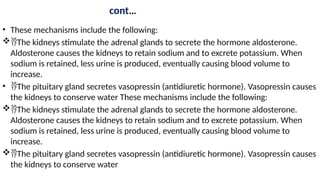 cont…
• These mechanisms include the following:
The kidneys stimulate the adrenal glands to secrete the hormone aldosterone.
Aldosterone causes the kidneys to retain sodium and to excrete potassium. When
sodium is retained, less urine is produced, eventually causing blood volume to
increase.
• The pituitary gland secretes vasopressin (antidiuretic hormone). Vasopressin causes
the kidneys to conserve water These mechanisms include the following:
The kidneys stimulate the adrenal glands to secrete the hormone aldosterone.
Aldosterone causes the kidneys to retain sodium and to excrete potassium. When
sodium is retained, less urine is produced, eventually causing blood volume to
increase.
The pituitary gland secretes vasopressin (antidiuretic hormone). Vasopressin causes
the kidneys to conserve water
 