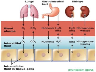JNVU PHARMACY, JODHPUR
 