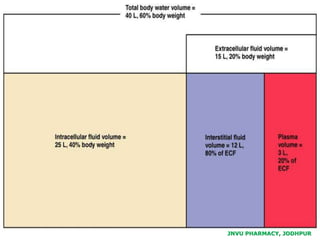 JNVU PHARMACY, JODHPUR
 