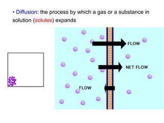 BODY FLUID.ppt