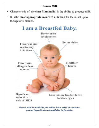 12
Human Milk
• Characteristic of the class Mammalia is the ability to produce milk.
• It is the most appropriate source of nutrition for the infant up to
the age of 6 months.
 