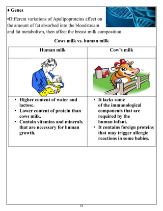19
♦ Genes
•Different variations of Apolipoproteins affect on
the amount of fat absorbed into the bloodstream
and fat metabolism, then affect the breast milk composition.
Cows milk vs. human milk
Human milk Cow’s milk
• Higher content of water and
lactose.
• Lower content of protein than
cows milk.
• Contain vitamins and minerals
that are necessary for human
growth.
• It lacks some
of the immunological
components that are
required by the
human infant.
• It contains foreign proteins
that may trigger allergic
reactions in some babies.
 