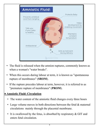 3
• The fluid is released when the amnion ruptures, commonly known as
when a woman's "water breaks".
• When this occurs during labour at term, it is known as "spontaneous
rupture of membranes" (SROM).
• If the rupture precedes labour at term, however, it is referred to as
"premature rupture of membranes" (PROM).
♦ Amniotic Fluid: Circulation
• The water content of the amniotic fluid changes every three hours
• Large volume moves in both directions between the fetal & maternal
circulations mainly through the placental membrane.
• It is swallowed by the fetus, is absorbed by respiratory & GIT and
enters fetal circulation.
 