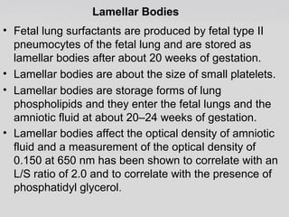 Lamellar Bodies 
• Fetal lung surfactants are produced by fetal type II 
pneumocytes of the fetal lung and are stored as 
lamellar bodies after about 20 weeks of gestation. 
• Lamellar bodies are about the size of small platelets. 
• Lamellar bodies are storage forms of lung 
phospholipids and they enter the fetal lungs and the 
amniotic fluid at about 20–24 weeks of gestation. 
• Lamellar bodies affect the optical density of amniotic 
fluid and a measurement of the optical density of 
0.150 at 650 nm has been shown to correlate with an 
L/S ratio of 2.0 and to correlate with the presence of 
phosphatidyl glycerol. 
 