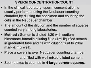 SPERM CONCENTRATION/COUNT 
• In the clinical laboratory, sperm concentration is 
usually performed using the Neubauer counting 
chamber,by diluting the specimen and counting the 
cells in the Neubauer chamber. 
• The amount of the dilution and the number of squares 
counted vary among laboratories. 
• Method : Semen is diluted 1:20 with sodium 
bicaronate-formalin diluting fluid (1ml liquified semen 
in graduated tube and fill with diluting fluid to 20ml 
mark & mix well). 
• Place a coverslip over Neubauer counting chamber 
and filled with well mixed diluted semen. 
• Spematozoa is counted in 4 large corner squares. 
 