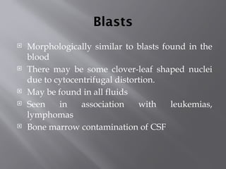 Csf Contamination Comprehensive Guide to Cerebrospinal Fluid (CSF) Analysis in Clinical ...
