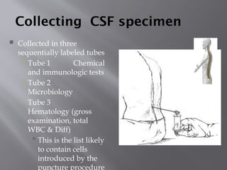 Comprehensive Guide to Cerebrospinal Fluid (CSF) Analysis in Clinical ...
