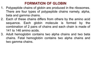 FORMATION OF GLOBIN
1. Polypeptide chains of globin are produced in the ribosomes.
There are four types of polypeptide chains namely, alpha,
beta and gamma chains.
2. Each of these chains differs from others by the amino acid
sequence. Each globin molecule is formed by the
combination of 2 pairs of chains and each chain is made of
141 to 146 amino acids.
3. Adult hemoglobin contains two alpha chains and two beta
chains. Fetal hemoglobin contains two alpha chains and
two gamma chains.
 