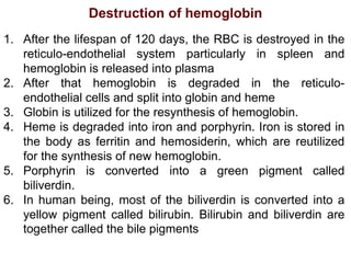 Destruction of hemoglobin
1. After the lifespan of 120 days, the RBC is destroyed in the
reticulo-endothelial system particularly in spleen and
hemoglobin is released into plasma
2. After that hemoglobin is degraded in the reticulo-
endothelial cells and split into globin and heme
3. Globin is utilized for the resynthesis of hemoglobin.
4. Heme is degraded into iron and porphyrin. Iron is stored in
the body as ferritin and hemosiderin, which are reutilized
for the synthesis of new hemoglobin.
5. Porphyrin is converted into a green pigment called
biliverdin.
6. In human being, most of the biliverdin is converted into a
yellow pigment called bilirubin. Bilirubin and biliverdin are
together called the bile pigments
 