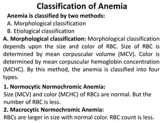 Classification of Anemia
Anemia is classified by two methods:
A. Morphological classification
B. Etiological classification
A. Morphological classification: Morphological classification
depends upon the size and color of RBC. Size of RBC is
determined by mean corpuscular volume (MCV). Color is
determined by mean corpuscular hemoglobin concentration
(MCHC). By this method, the anemia is classified into four
types.
1. Normocytic Normochromic Anemia:
Size (MCV) and color (MCHC) of RBCs are normal. But the
number of RBC is less.
2. Macrocytic Normochromic Anemia:
RBCs are larger in size with normal color. RBC count is less.
 