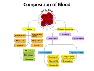 Composition of Blood
 
