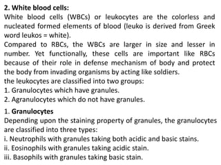 2. White blood cells:
White blood cells (WBCs) or leukocytes are the colorless and
nucleated formed elements of blood (leuko is derived from Greek
word leukos = white).
Compared to RBCs, the WBCs are larger in size and lesser in
number. Yet functionally, these cells are important like RBCs
because of their role in defense mechanism of body and protect
the body from invading organisms by acting like soldiers.
the leukocytes are classified into two groups:
1. Granulocytes which have granules.
2. Agranulocytes which do not have granules.
1. Granulocytes
Depending upon the staining property of granules, the granulocytes
are classified into three types:
i. Neutrophils with granules taking both acidic and basic stains.
ii. Eosinophils with granules taking acidic stain.
iii. Basophils with granules taking basic stain.
 