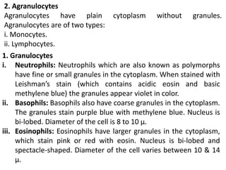2. Agranulocytes
Agranulocytes have plain cytoplasm without granules.
Agranulocytes are of two types:
i. Monocytes.
ii. Lymphocytes.
1. Granulocytes
i. Neutrophils: Neutrophils which are also known as polymorphs
have fine or small granules in the cytoplasm. When stained with
Leishman’s stain (which contains acidic eosin and basic
methylene blue) the granules appear violet in color.
ii. Basophils: Basophils also have coarse granules in the cytoplasm.
The granules stain purple blue with methylene blue. Nucleus is
bi-lobed. Diameter of the cell is 8 to 10 μ.
iii. Eosinophils: Eosinophils have larger granules in the cytoplasm,
which stain pink or red with eosin. Nucleus is bi-lobed and
spectacle-shaped. Diameter of the cell varies between 10 & 14
μ.
 
