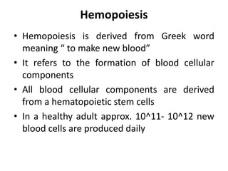 Hemopoiesis
• Hemopoiesis is derived from Greek word
meaning “ to make new blood”
• It refers to the formation of blood cellular
components
• All blood cellular components are derived
from a hematopoietic stem cells
• In a healthy adult approx. 10^11- 10^12 new
blood cells are produced daily
 