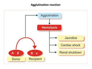 Agglutination reaction
 