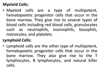 Myeloid Cells:
• Myeloid cells are a type of multipotent,
hematopoietic progenitor cells that occur in the
bone marrow. They give rise to several types of
blood cells including red blood cells, granulocytes
such as neutrophils, eosinophils, basophils,
monocytes, and platelets.
Lymphoid Cells:
• Lymphoid cells are the other type of multipotent,
hematopoietic progenitor cells that occur in the
bone marrow. They also give rise to the T
lymphocytes, B lymphocytes, and natural killer
cells.
 