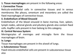 1. Tissue macrophages are present in the following areas:
i. Connective Tissue
Reticulo-endothelial cells in connective tissues and in serous
membranes like pleura, omentum and mesentery are called the
fixed macrophages of connective tissue.
ii. Endothelium of Blood Sinusoid
Endothelium of the blood sinusoid in bone marrow, liver, spleen,
lymph nodes, adrenal glands and pituitary glands also contain fixed
cells. Kupffer cells present in liver belong to this category.
iii. Central Nervous System:
Meningocytes of meninges and microglia form the tissue
macrophages of brain.
iv. Lungs:
Tissue macrophages are present in the alveoli of lungs.
v. Subcutaneous Tissue:
Fixed reticulo-endothelial cells are present in subcutaneous tissue
also
 