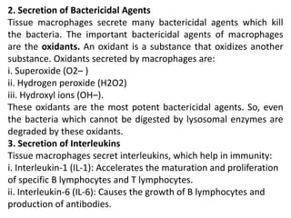 2. Secretion of Bactericidal Agents
Tissue macrophages secrete many bactericidal agents which kill
the bacteria. The important bactericidal agents of macrophages
are the oxidants. An oxidant is a substance that oxidizes another
substance. Oxidants secreted by macrophages are:
i. Superoxide (O2– )
ii. Hydrogen peroxide (H2O2)
iii. Hydroxyl ions (OH–).
These oxidants are the most potent bactericidal agents. So, even
the bacteria which cannot be digested by lysosomal enzymes are
degraded by these oxidants.
3. Secretion of Interleukins
Tissue macrophages secret interleukins, which help in immunity:
i. Interleukin-1 (IL-1): Accelerates the maturation and proliferation
of specific B lymphocytes and T lymphocytes.
ii. Interleukin-6 (IL-6): Causes the growth of B lymphocytes and
production of antibodies.
 