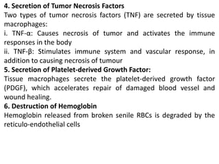 4. Secretion of Tumor Necrosis Factors
Two types of tumor necrosis factors (TNF) are secreted by tissue
macrophages:
i. TNF-α: Causes necrosis of tumor and activates the immune
responses in the body
ii. TNF-β: Stimulates immune system and vascular response, in
addition to causing necrosis of tumour
5. Secretion of Platelet-derived Growth Factor:
Tissue macrophages secrete the platelet-derived growth factor
(PDGF), which accelerates repair of damaged blood vessel and
wound healing.
6. Destruction of Hemoglobin
Hemoglobin released from broken senile RBCs is degraded by the
reticulo-endothelial cells
 