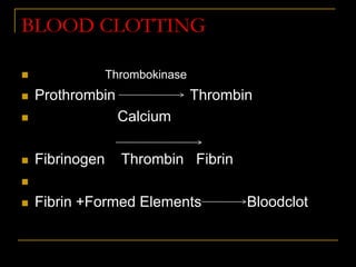 BLOOD CLOTTING
 Thrombokinase
 Prothrombin Thrombin
 Calcium
 Fibrinogen Thrombin Fibrin

 Fibrin +Formed Elements Bloodclot
 