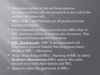 Comprehensive Overview of Blood Components, Circulation, and Body ...