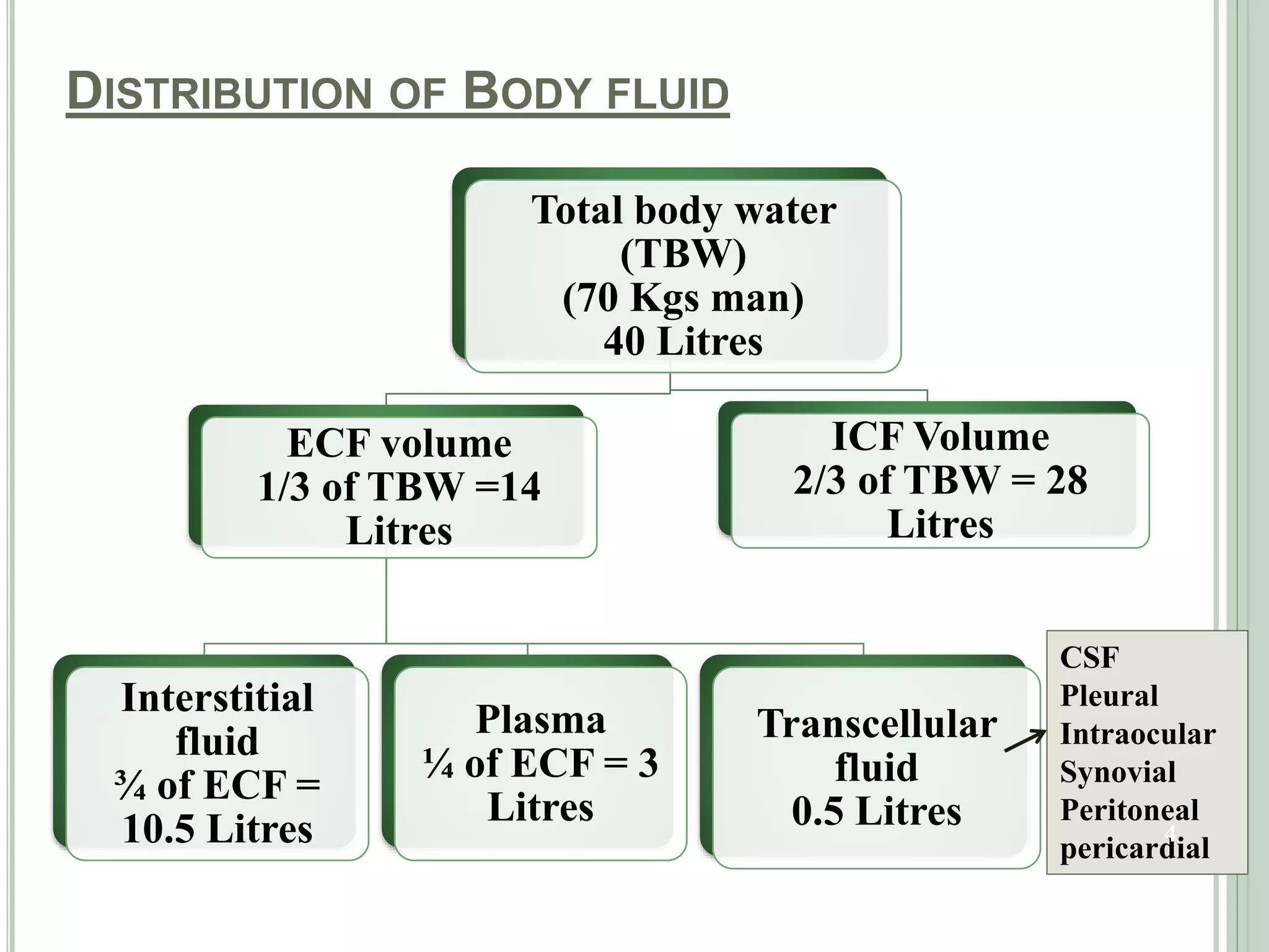 Body Fluid Compartments And Edema PPTX Body Fluid Compartments And Edema PPTX