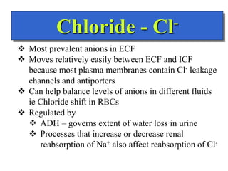 Chloride - Cl-
 Most prevalent anions in ECF
 Moves relatively easily between ECF and ICF
because most plasma membranes contain Cl- leakage
channels and antiporters
 Can help balance levels of anions in different fluids
ie Chloride shift in RBCs
 Regulated by
 ADH – governs extent of water loss in urine
 Processes that increase or decrease renal
reabsorption of Na+ also affect reabsorption of Cl-
 