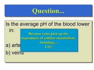 Question...
Is the average pH of the blood lower
in:
a) arteries
b) veins
Veins!
Why?
Because veins pick up the
byproducts of cellular metabolism,
including…
CO2!
 