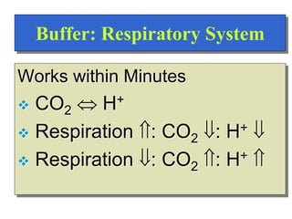 Buffer: Respiratory System
Works within Minutes
 CO2  H+
 Respiration : CO2 : H+ 
 Respiration : CO2 : H+ 
 