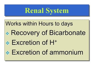 Renal System
Works within Hours to days
 Recovery of Bicarbonate
 Excretion of H+
 Excretion of ammonium
 