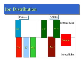 Ion Distribution
Na+
K+
Cl-
PO4
-
Protein-
Cations Anions
Extracellular
Intracellular
Ca+ Mg+
HCo3-
3
 