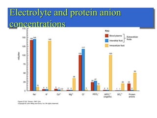 Electrolyte and protein anion
concentrations
 