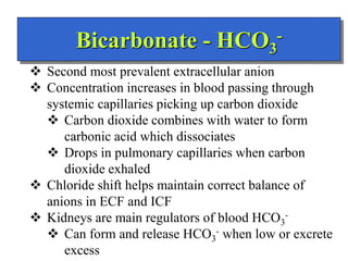 Bicarbonate - HCO3
-
 Second most prevalent extracellular anion
 Concentration increases in blood passing through
system...