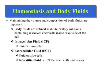 Homeostasis and Body Fluids
 Maintaining the volume and composition of body fluids are
important
 Body fluids are define...