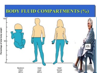 BODY FLUID COMPARTMENTS (%)
 