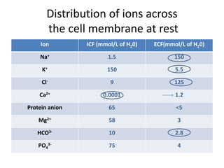 Distribution of ions across
the cell membrane at rest
Ion ICF (mmol/L of H20) ECF(mmol/L of H20)
Na+ 1.5 150
K+ 150 5.5
Cl- 9 125
Ca2+ 0.0001 1.2
Protein anion 65 <5
Mg2+ 58 3
HCO3- 10 2.8
PO4
3- 75 4
 
