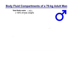 40%
15%
20%
5%
Total Body water
Blood volume 7% of body weight
5L in a 70 kg adult male
 
