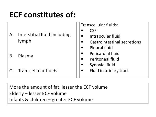 body fluid compartments quizlet body fluid compartments quizlet