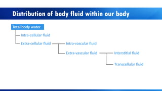Introduction to body fluids presentation | PPTX