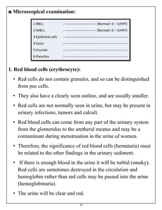 Urine Analysis and Kidney function tests | PDF