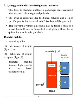 Urine Analysis and Kidney function tests | PDF
