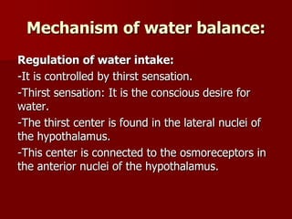 Mechanism of water balance:
Regulation of water intake:
-It is controlled by thirst sensation.
-Thirst sensation: It is the conscious desire for
water.
-The thirst center is found in the lateral nuclei of
the hypothalamus.
-This center is connected to the osmoreceptors in
the anterior nuclei of the hypothalamus.
 