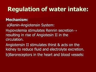 Regulation of water intake:
Mechanism:
a)Renin-Angiotensin System:
Hypovolemia stimulates Rennin secretion→
resulting in rise of Angiotesin II in the
circulation.
Angiotensin II stimulates thirst & acts on the
kidney to reduce fluid and electrolyte excretion.
b)Baroreceptors in the heart and blood vessels:
 