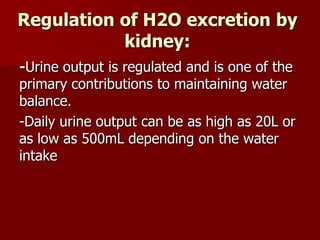 Regulation of H2O excretion by
kidney:
-Urine output is regulated and is one of the
primary contributions to maintaining water
balance.
-Daily urine output can be as high as 20L or
as low as 500mL depending on the water
intake
 