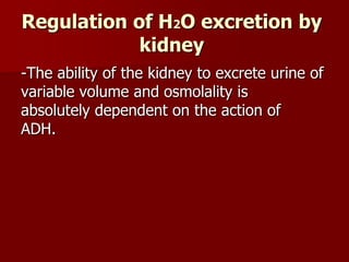 Regulation of H2O excretion by
kidney
-The ability of the kidney to excrete urine of
variable volume and osmolality is
absolutely dependent on the action of
ADH.
 