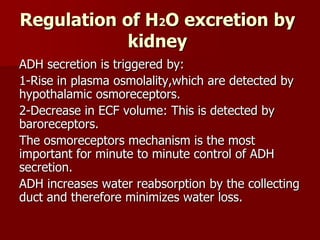Regulation of H2O excretion by
kidney
ADH secretion is triggered by:
1-Rise in plasma osmolality,which are detected by
hypothalamic osmoreceptors.
2-Decrease in ECF volume: This is detected by
baroreceptors.
The osmoreceptors mechanism is the most
important for minute to minute control of ADH
secretion.
ADH increases water reabsorption by the collecting
duct and therefore minimizes water loss.
 