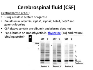 Cerebrospinal fluid (CSF)
Electrophoresis of CSF:
• Using cellulose acetate or agarose
• Pre-albumin, albumin, alpha1, alpha2, beta1, beta2 and
gammaglobulins
• CSF always contain pre-albumin and plasma does not
• Pre-albumin or Transthyretin is thyroxine (T4) and retinol-
binding protein
 